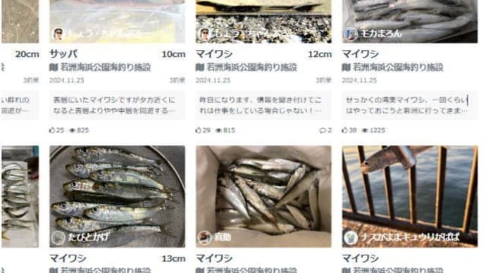 釣果情報@若洲海浜公園 (*゜∀゜)