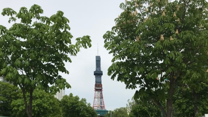 大通り公園は数あれど〈英訳付〉