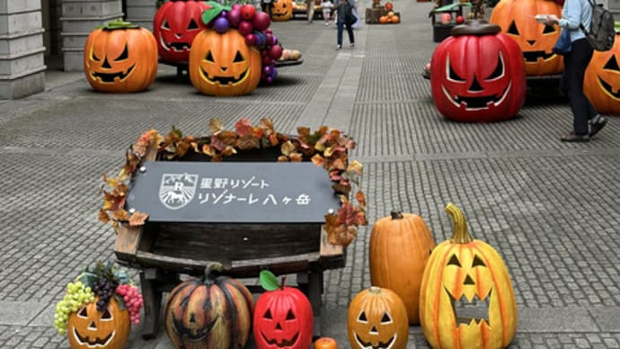 南麓はハロウィンの装い