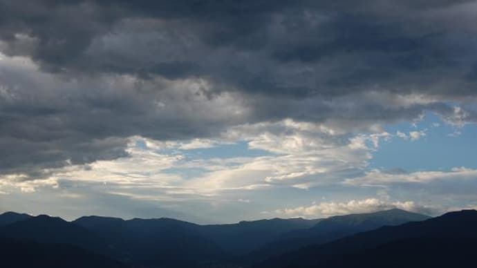 梅雨空に咲くウィズリーの二番花