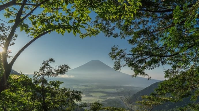 2021 6月の毛無山・ズミの木チャレンジ2021