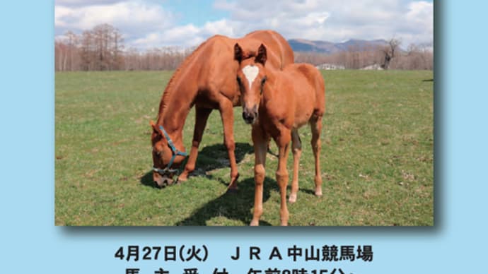 【2021 JRAブリーズアップセール(JRA Breeze Up Sale)】が開催(結果概要)