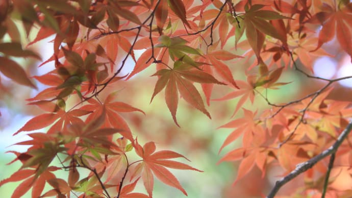 5月6日 昨日の写真整理でした