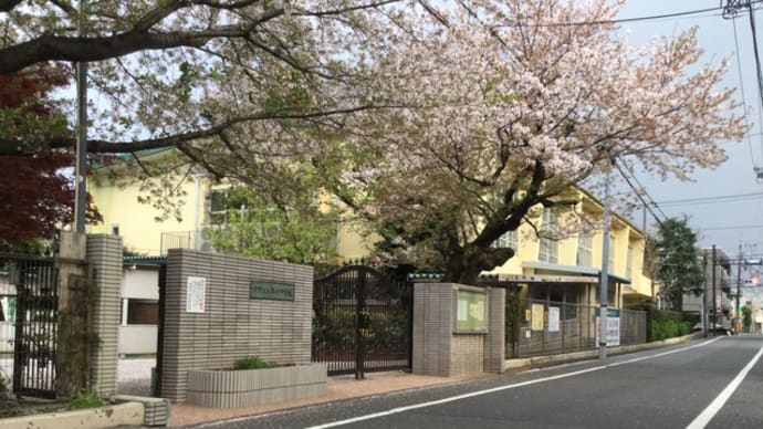 七中