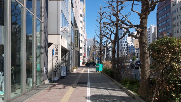 2月の東銀座:昭和通り・三原橋交差点から銀座二丁目東交差点まで PART2
