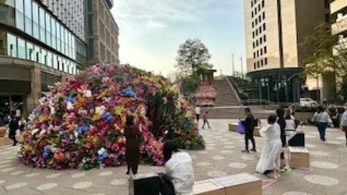秋からのNHK朝ドラ