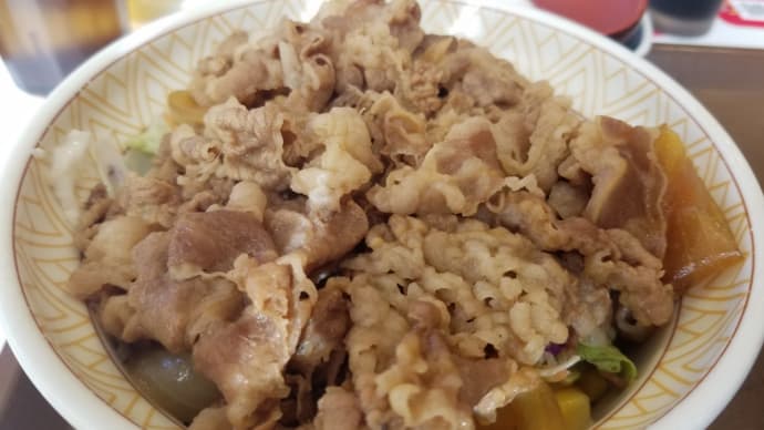 牛丼ライト