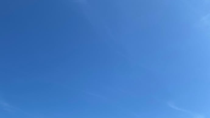 美しさを引き出す栄養バランスの整え方のポイント