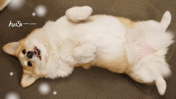 そして、やっぱり…。