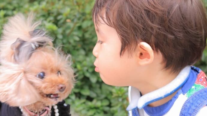 今日は1枚☆