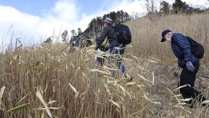 粟ヶ岳 草刈り場を歩く