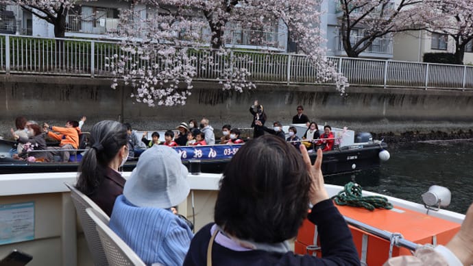 東京 大横川さくらクルーズ 8
