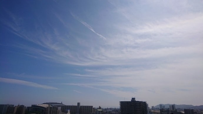 梅雨晴間の日曜日