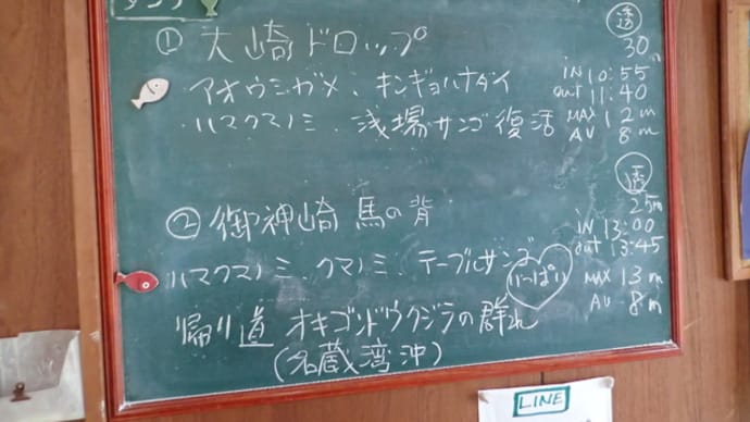 20220413ダイビングログ