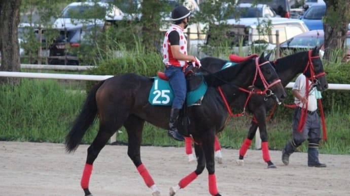 エルフストラック、岩田望来騎手で10/7(土)京都・芝2000mへ続戦