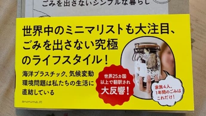 やっぱり購入!