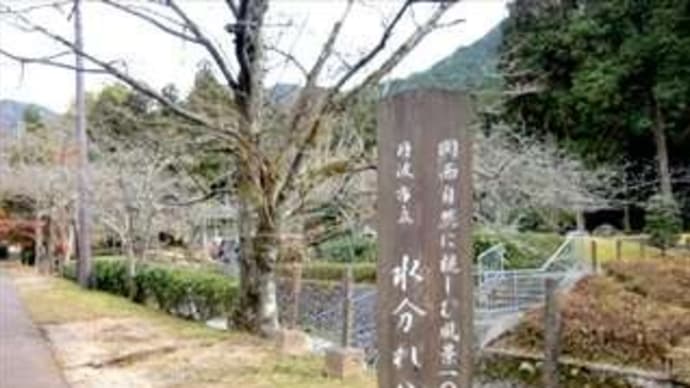 ご当地マンホールとマンホールカード in 兵庫県丹波市