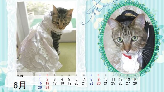 ボリビアリスザルとカピバラのおやつは何かしら?
