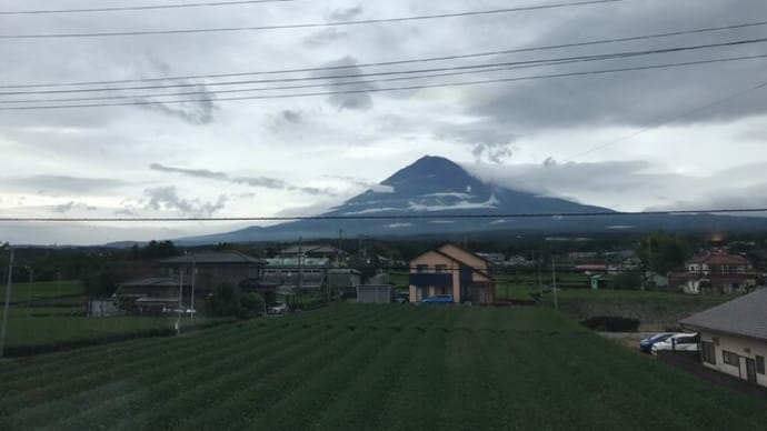 ドッグフードを食べない日