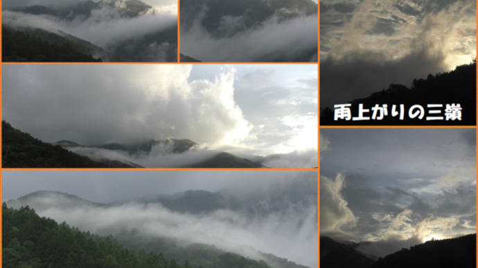 令和4年6月27日・雨上がりの霧の中に・・・