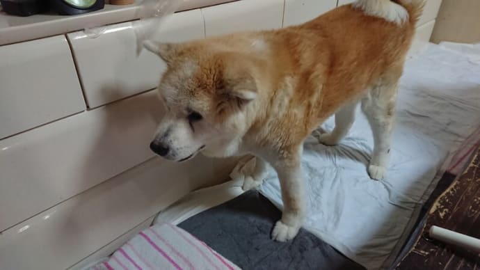 うわっ!って思うだけです(^^)