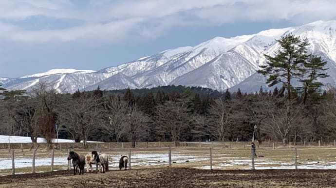 盛岡旅行 その2