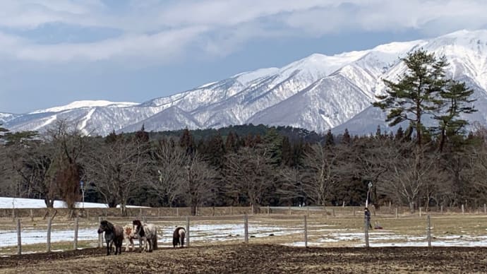 盛岡旅行　その２