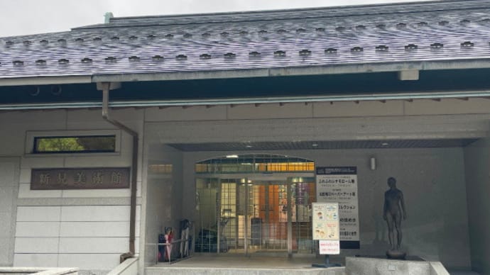 わんこ連れ 山陰ぶらり ② (岡山 新見美術館 銘仙着物)