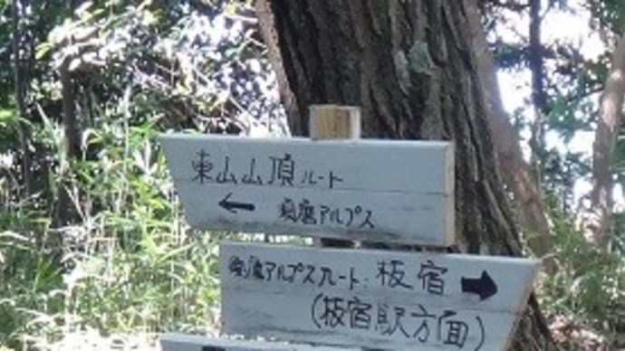 六甲縦走ひよどり越まで2