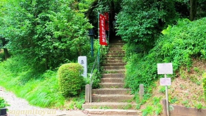 薬師池公園の名の由来元「野津田薬師堂」