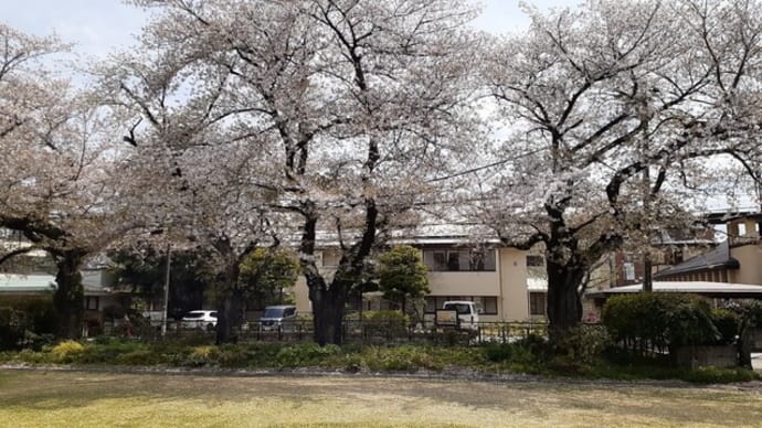 「自由学園明日館」の庭から