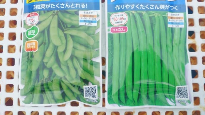 野菜の種