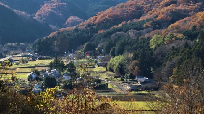 嵐山渓谷の紅葉
