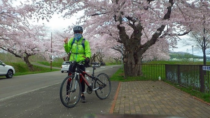 MTBサクラ巡りロングライド（函館郊外～七飯町～北斗市）＜58.3km＞