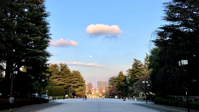 非社会性と普通に生きるということ