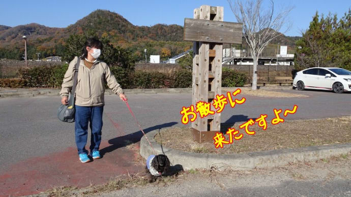 ひたすら長い公園