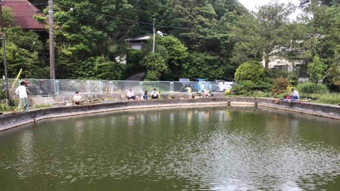 緑水園　横浜市戸塚区の釣り堀