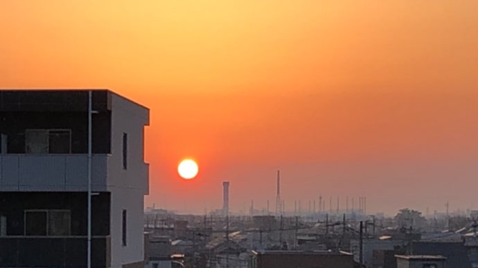 さすがに花粉が大量飛散?