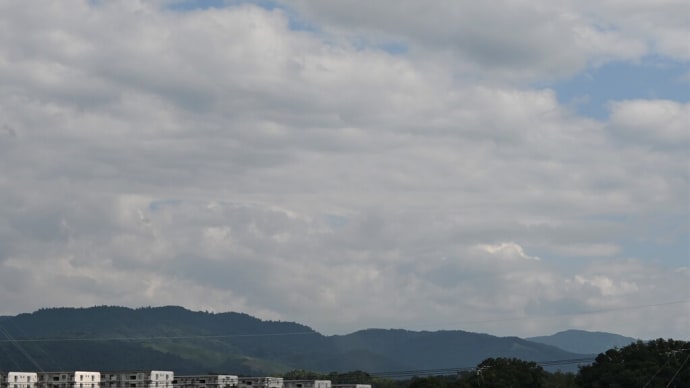 広島旅は厳島神社の大鳥居