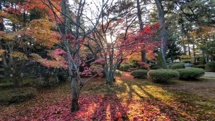 天徳院紅葉