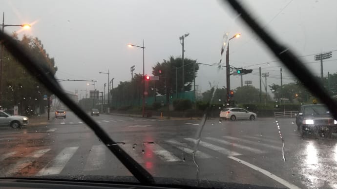 よく降ります