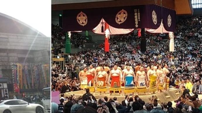 大相撲大阪場所7日目