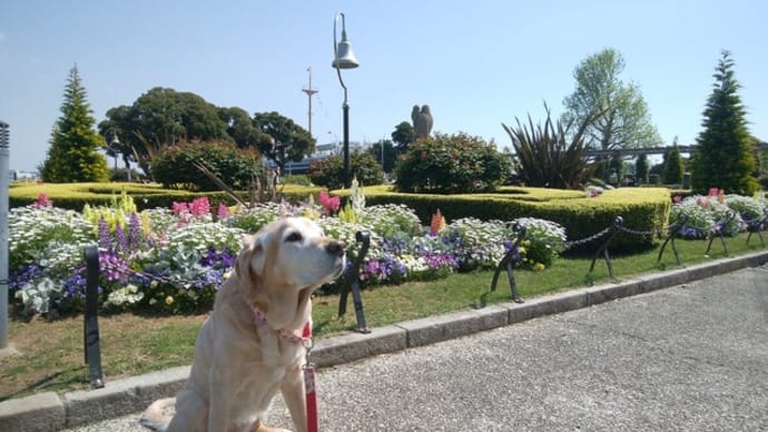 花三昧の山下公園