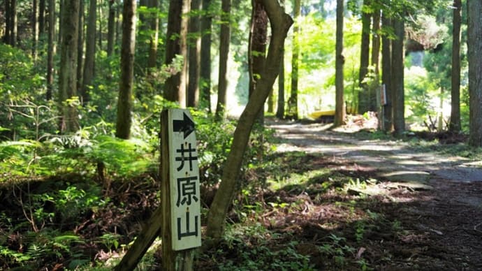井原山~雷山へ