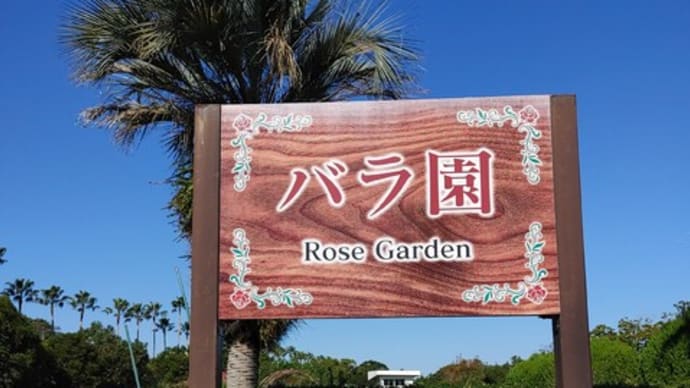 宮崎県総合運動公園・バラ園