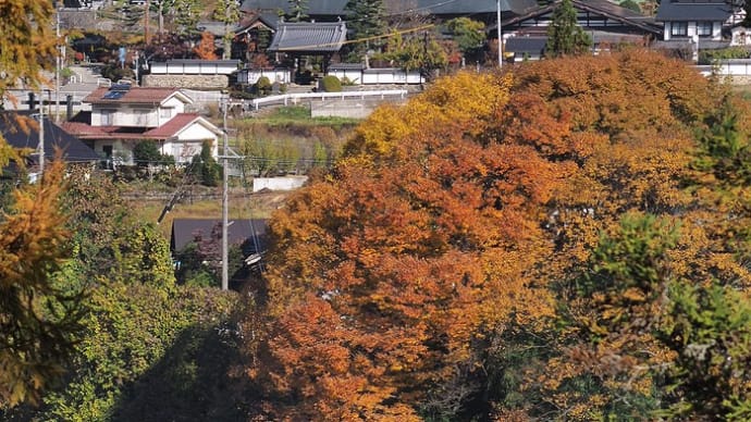 ★近場の里山 秋風景　2020