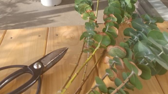 ICUから一般病棟へ移ったあと