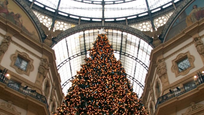 🇮🇹 本場イタリアのクリスマスツリー ・ 煌くミラノから♪ 
