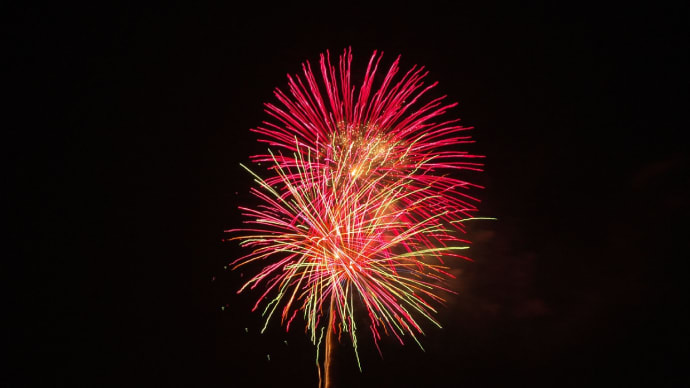 夜空に咲く花