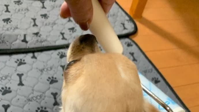 コロコロ。